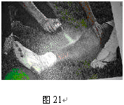 苏州家教,苏州家教网,www.szjjedu.com